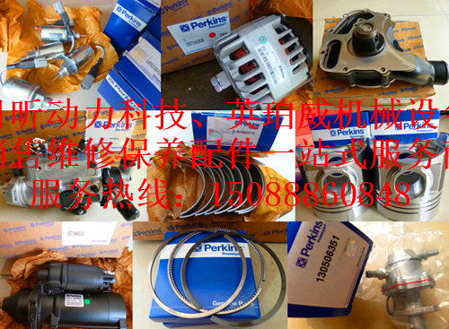 威爾信P30E柴油發(fā)電機湖南株洲哪家好?